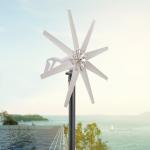 600W 12V Wind Turbine Generator with 8 Blades