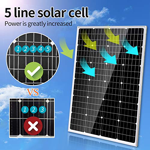 1000W Wind Turbine Solar Panel Kit for Home