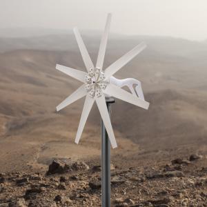600W 12V 8-Blade Wind Turbine Generator Kit