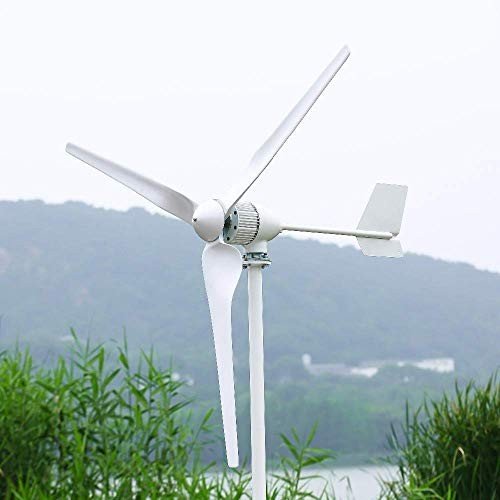 2000W NINILADY Horizontal Wind Turbine Generator