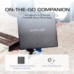 EF ECOFLOW 160W Portable Solar Panel for Home