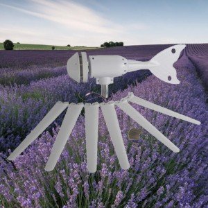 400W 6-Blade Horizontal Axis Wind Turbine