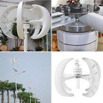 600W Vertical Wind Turbine Generator Kit for Home