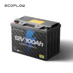 EcoFlow 12V 100Ah LiFePO4 Battery for Solar