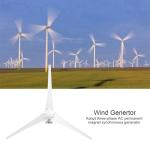 Hilitand 1200W Home Wind Turbine Kit