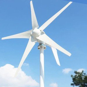 3000W 48V Wind Turbine with MPPT Controller