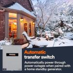 Generac 100 Amp Automatic Transfer Switch for Home
