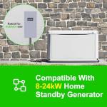 200 Amp Automatic Transfer Switch for Home Power