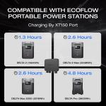 EcoFlow 800W Alternator Charger for Home Use