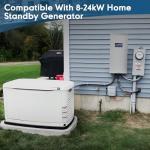 200 Amp Automatic Transfer Switch for Home Generators