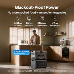 BLUETTI Apex 300 Portable Power Station Bundle