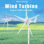 3000W Wind Turbine Generator Kit for Home