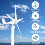 100W Wind Turbine Generator Kit with Controller