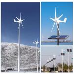 100W Wind Turbine Generator Kit with Controller