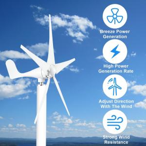 100W Wind Turbine Generator Kit for Home