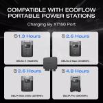 EcoFlow 800W Alternator Charger for Home Use