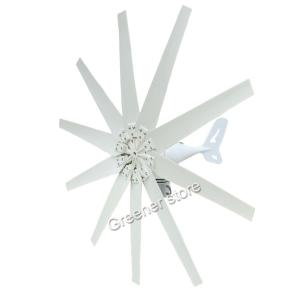 3kW 10 Blade Wind Turbine Generator for Home