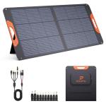 100W Portable Solar Panel for Camping & Power
