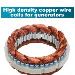 3000W Vertical Wind Turbine with Hybrid Controller