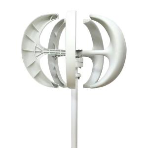 600W 24V Vertical Axis Wind Turbine with Controller