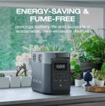 EF ECOFLOW Delta 2 Solar Power Generator 1800W