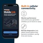 Generac 22kW Home Generator with Cellular Connectivity