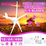 8000W Home Wind Turbine Generator with Waterproof Controller