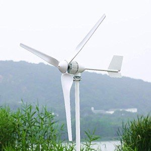 NINILADY 2000W Horizontal Wind Turbine Generator