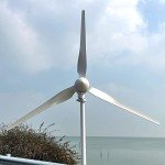 3000W 48V Wind Turbine Generator for Home Use