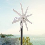 600W 12V Wind Turbine Generator Kit with 8 Blades