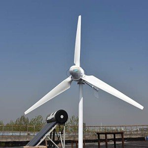 NINILADY 2000W Horizontal Wind Turbine Generator