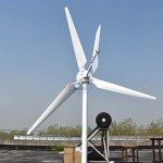 NINILADY 2000W Horizontal Wind Turbine Generator