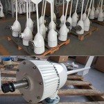 NINILADY 2000W Horizontal Wind Turbine Generator