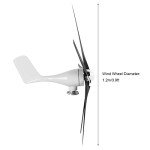 800W Small Wind Turbine Generator Kit (Black)