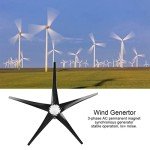 800W Small Wind Turbine Generator Kit (Black)