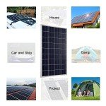 AUECOOR 300W Hybrid Wind and Solar System