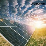 AUECOOR 300W Hybrid Wind and Solar System