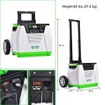 Nature's Generator Gold 1800W Wind Solar Combo