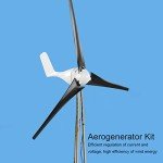 800W Home Wind Turbine Kit for Charging