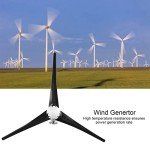 800W Home Wind Turbine Kit for Charging