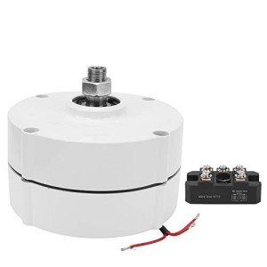 100W Permanent Magnet Generator for Home Wind Turbines