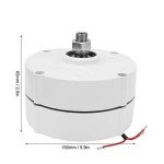 100W Permanent Magnet Generator for Home Wind Turbines