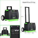 Nature's Generator Elite Gold: 3600W Solar & Wind System
