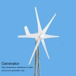 800W Wind Turbine Generator for Home Use