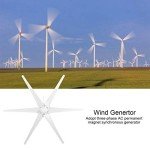 800W Wind Turbine Generator for Home Use