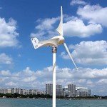 Delta Wing Carbon Fiber Wind Turbine Blades