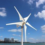 Delta Wing Carbon Fiber Wind Turbine Blades