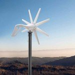 600W 12V Wind Turbine Generator Kit with Charge Controller