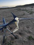Primus Air 40 48V 400W Home Wind Turbine