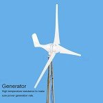 800W Home Wind Turbine Generator Kit 3 Blades